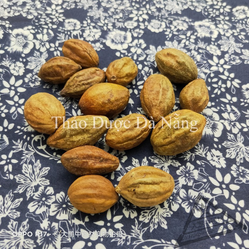 1 kg kha tử sạch đẹp.