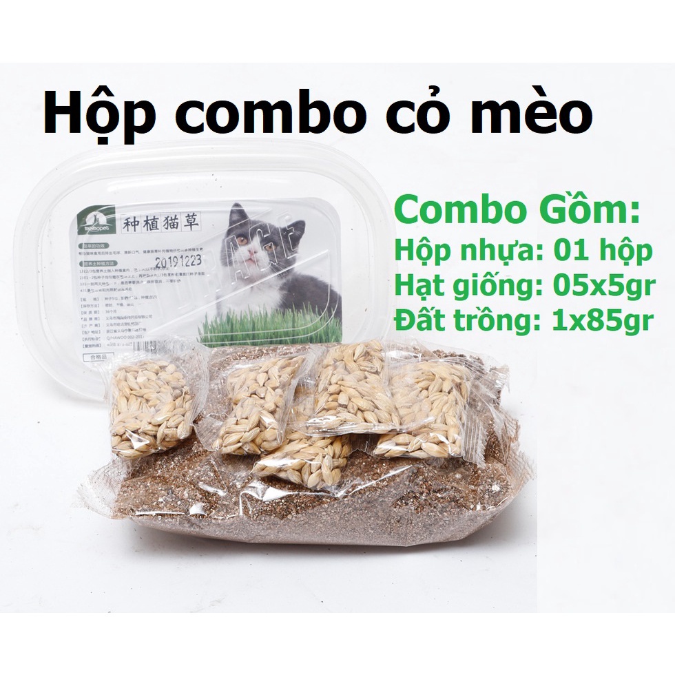 Combo trồng cỏ mèo - cỏ lúa mạch cho mèo