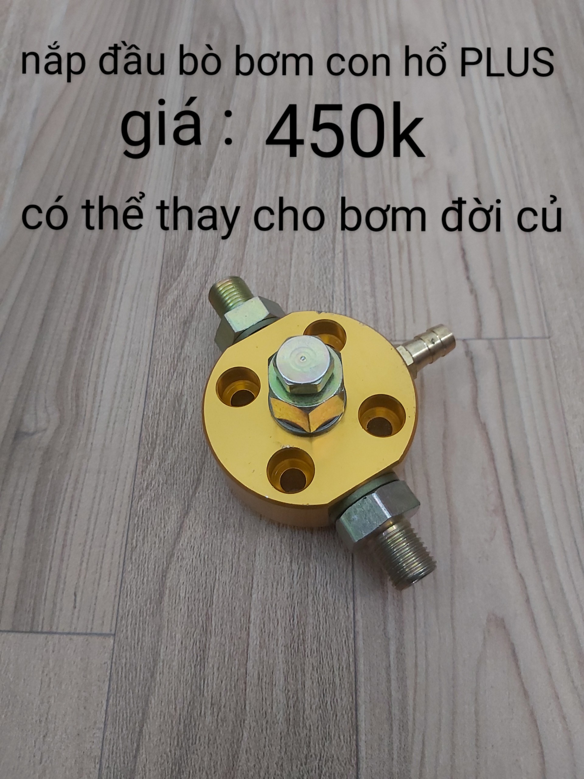 Nắp xilanh bơm con hổ