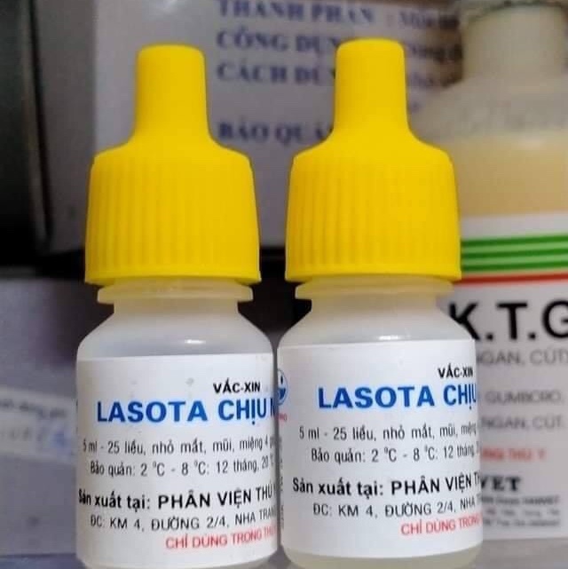 Lasota chịu nhiệt lọ 25 liều