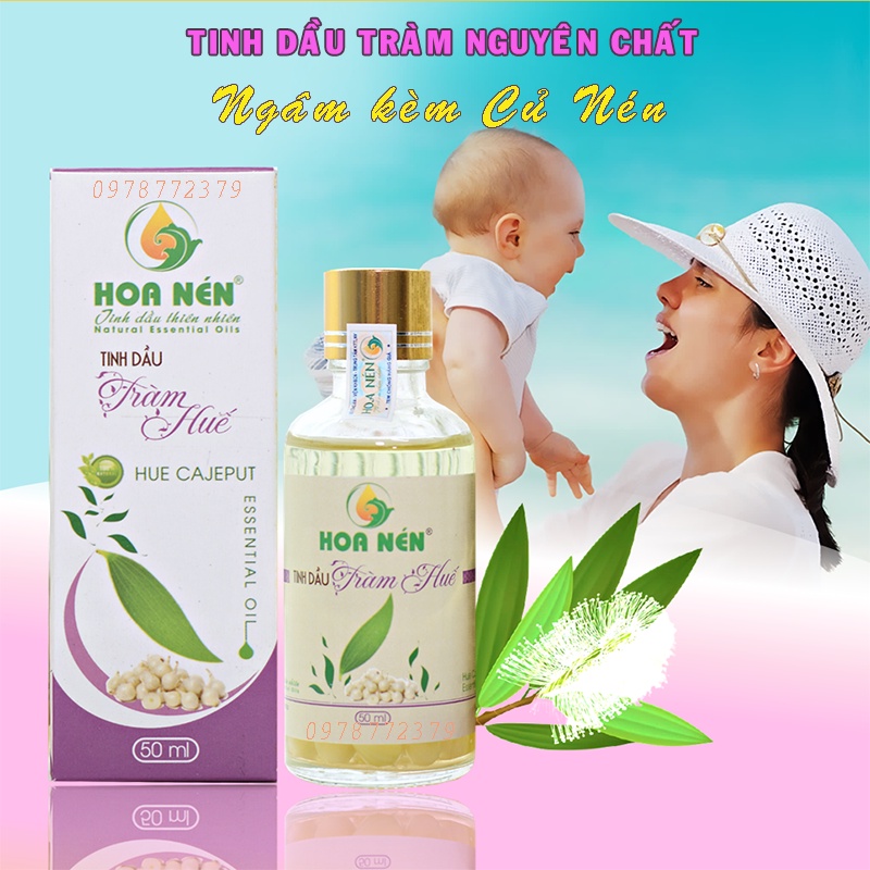 Tinh dầu tràm Hoa Nén có ngâm kèm củ nén 50ml - Dầu tràm cho bé thiên nhiên cao cấp, có kiểm định