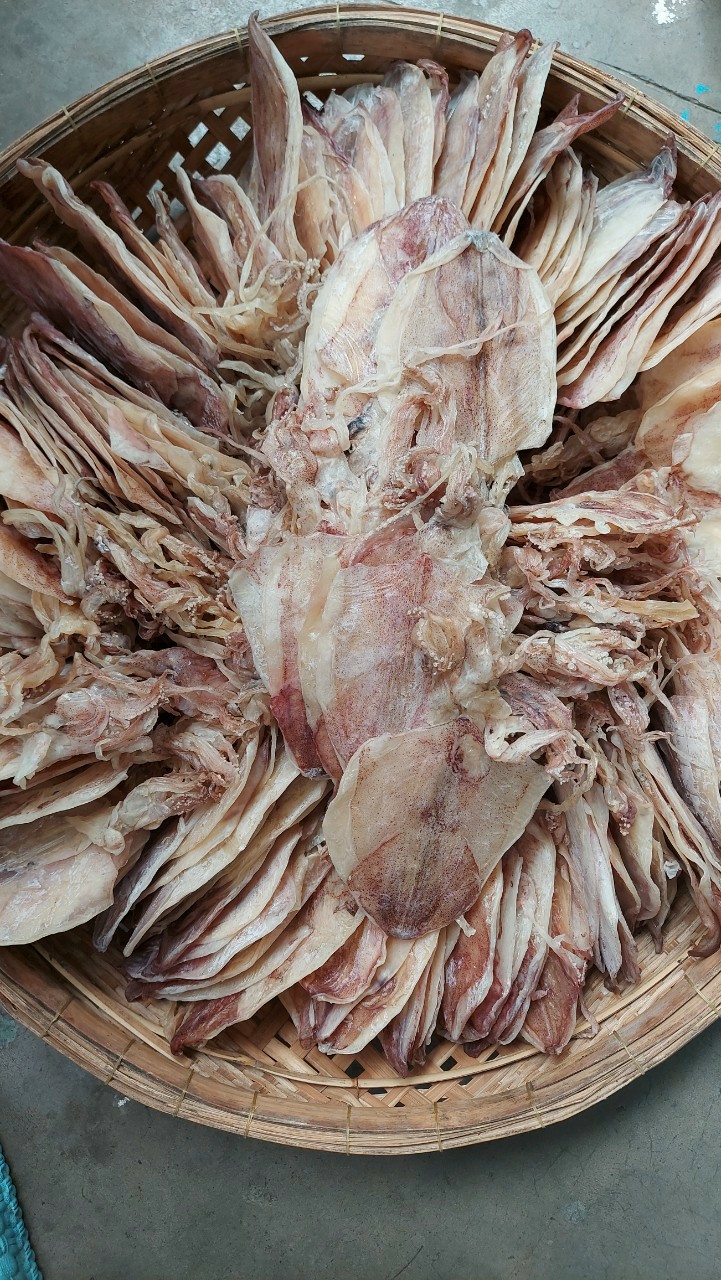 Khô mực câu cà mau ngon mới thịt thơm ngọt phân loại 1kg 500gr 200gr