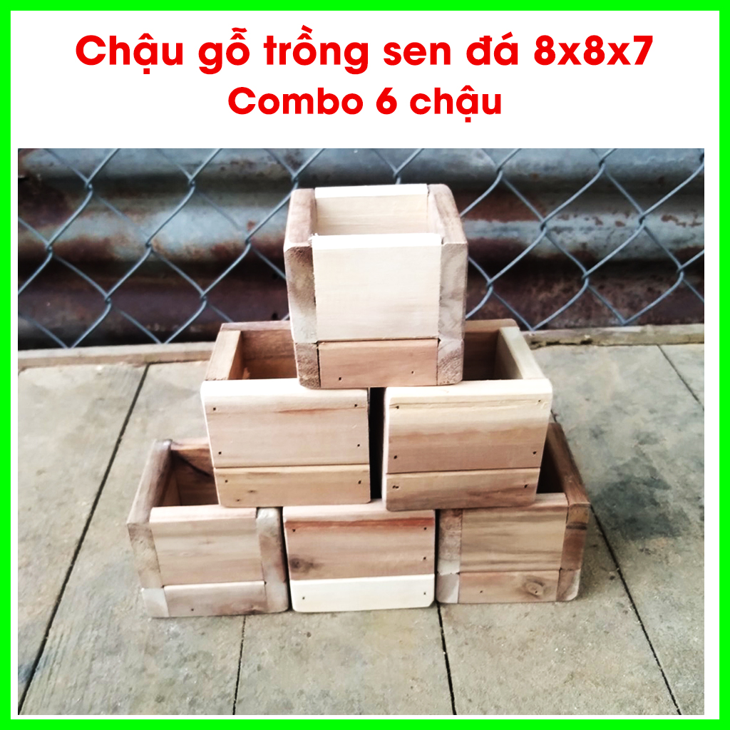 Combo 6 chậu gỗ trồng sen đá 8x8x7 Greenhouse -Ngôi Nhà Xanh