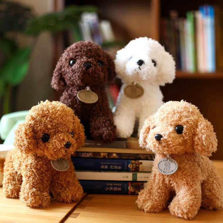 Chó poodle bông xù nhiều màu cao cấp gấu bông city