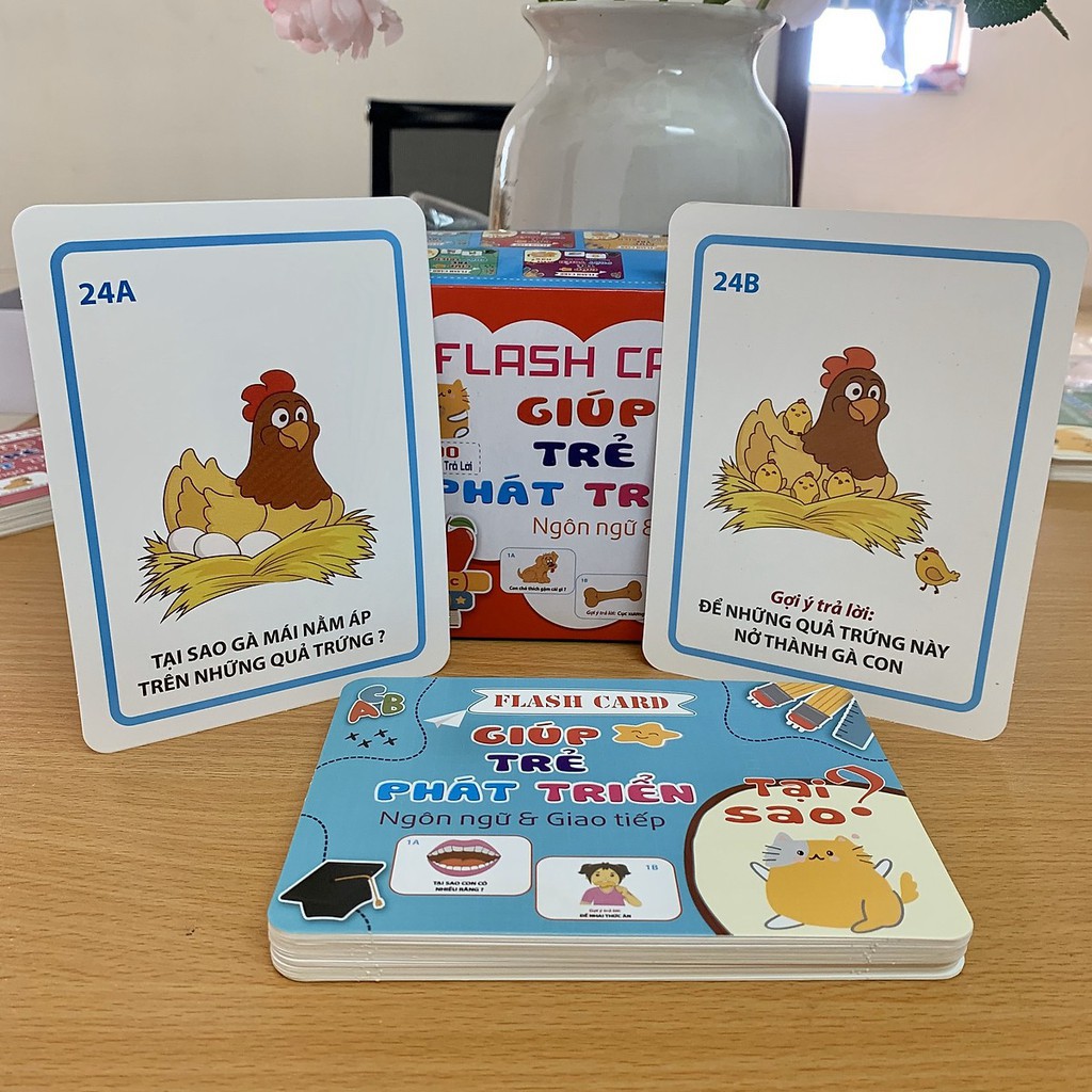 Bộ Thẻ Học 5 Chủ Đề 300 Câu Hỏi - Trả Lời Cho Bé Phát Triển Toàn Diện