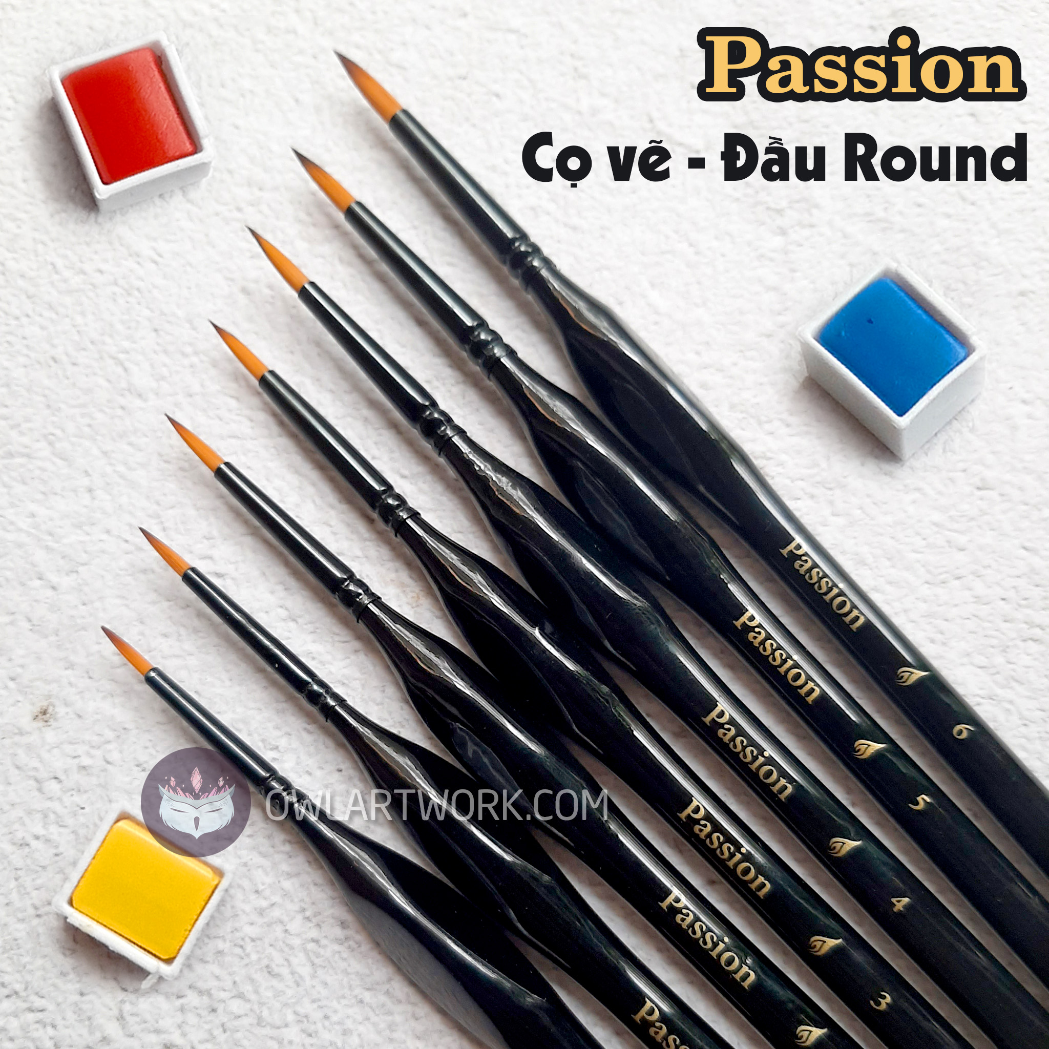 [HCM]Cọ Vẽ Màu Nước Passion Hàn Quốc - Đầu tròn (Round)