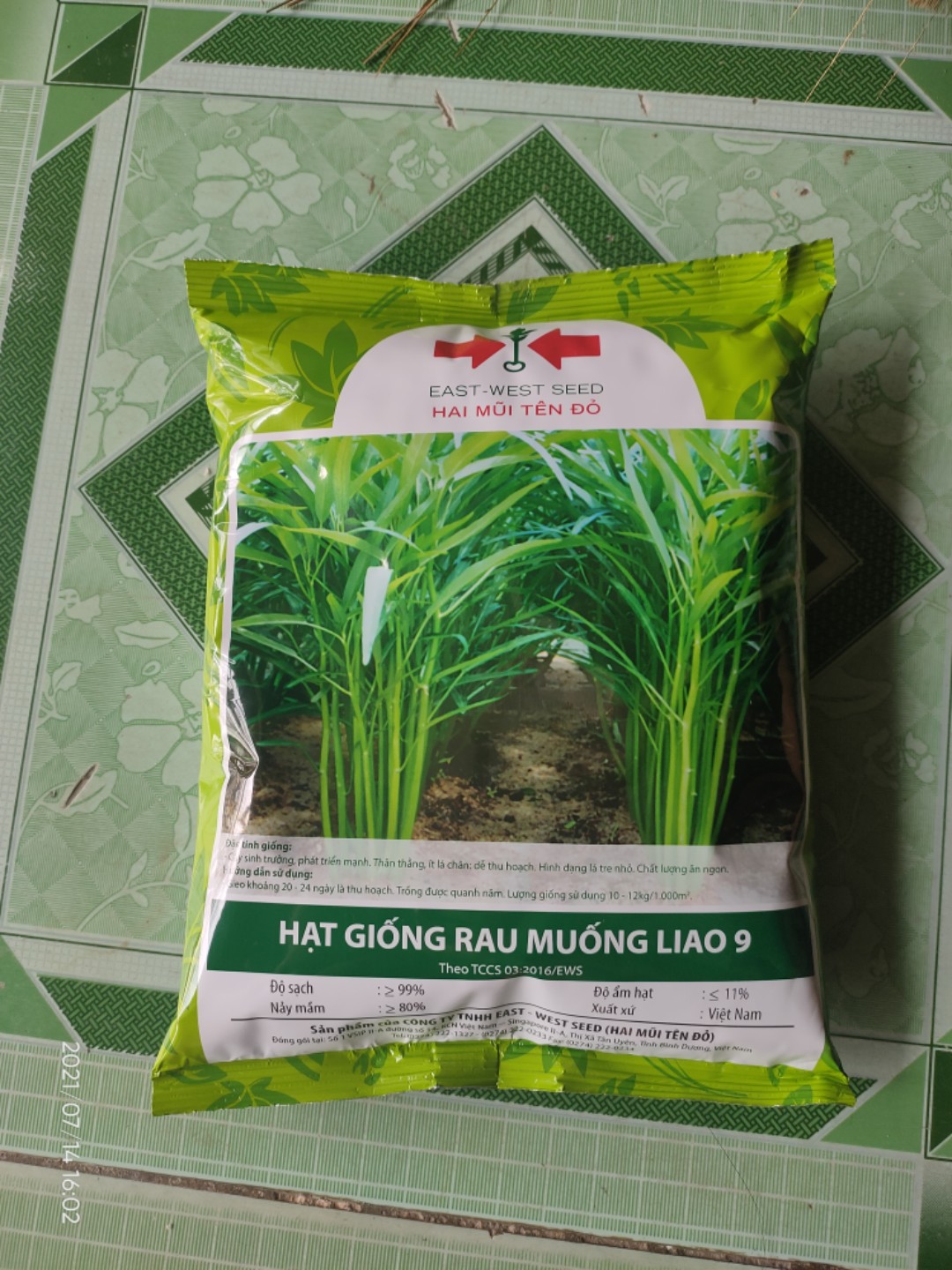 Hạt giống rau muống liao 9 hai mũi tên đỏ - gói 1kg