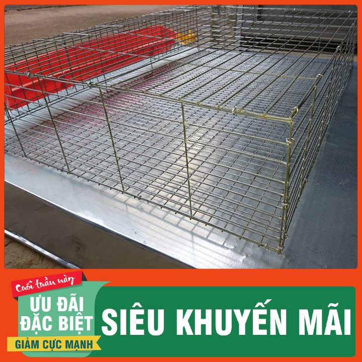 LỒNG NUÔI CHIM CÚT-CHUỒNG NUÔI CÚT ĐẺ-CHUỒNG NUÔI CÚT CÔNG NGHIỆP