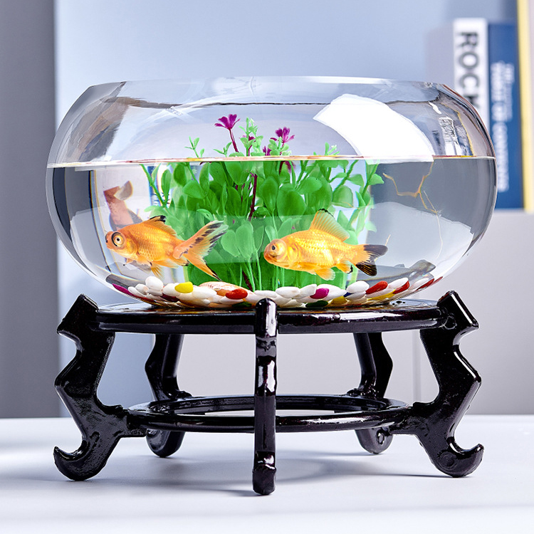 Chậu thủy tinh tròn thấp đường kính 20 cm, 25 cm nuôi cá cảnh nhỏ, trồng cây thủy sinh, mix tiểu cảnh terrarium