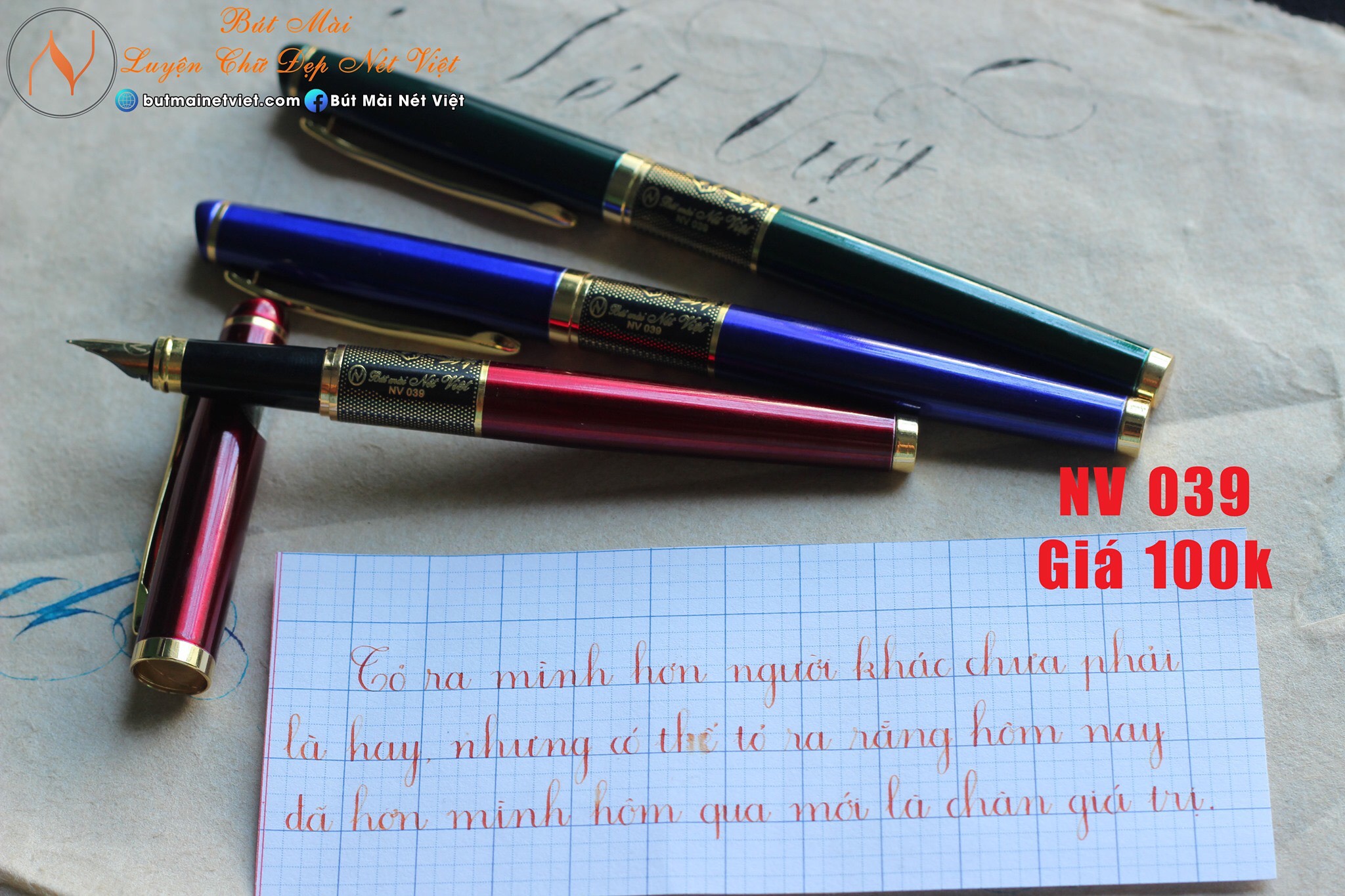 🌸 Bút máy thanh đậm Nét Việt NV039