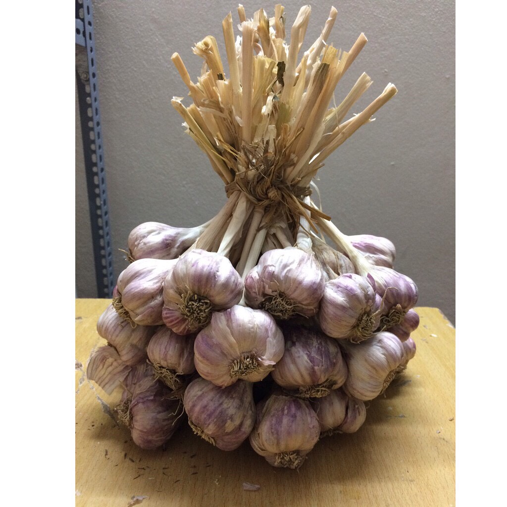 TỎI TÍM To 500g đã cắt cuống