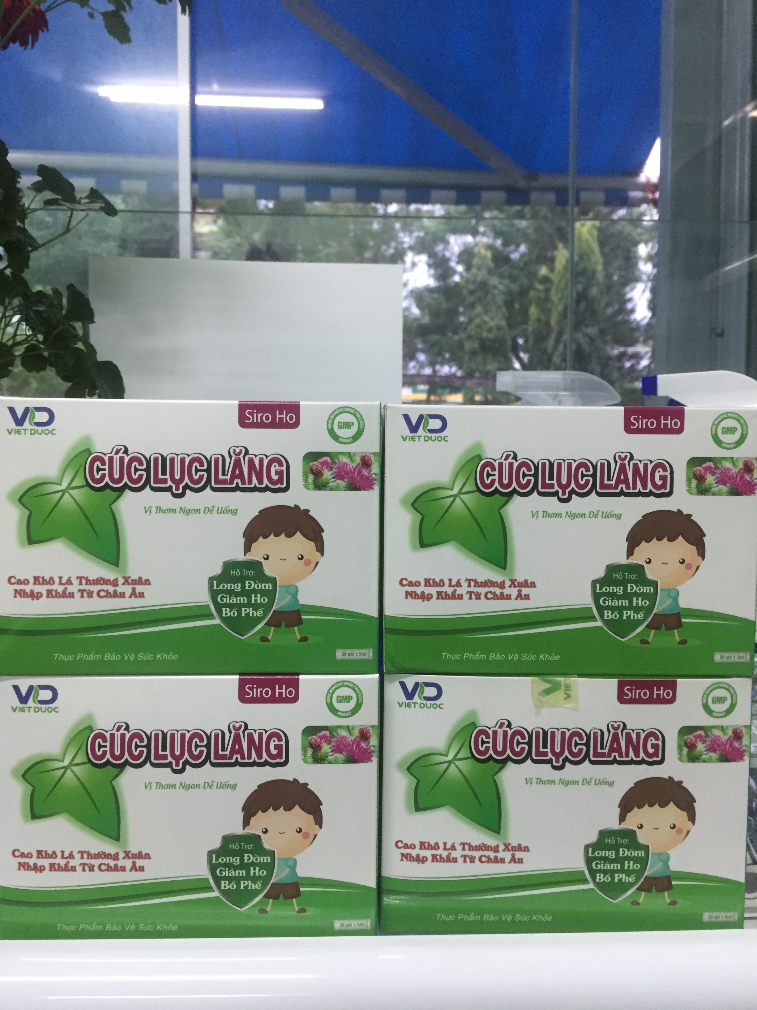 Siro ho cúc lục lăng