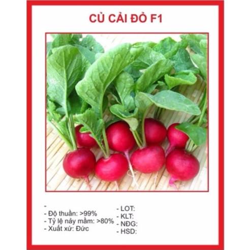 Hạt giống củ cải đỏ 5gram