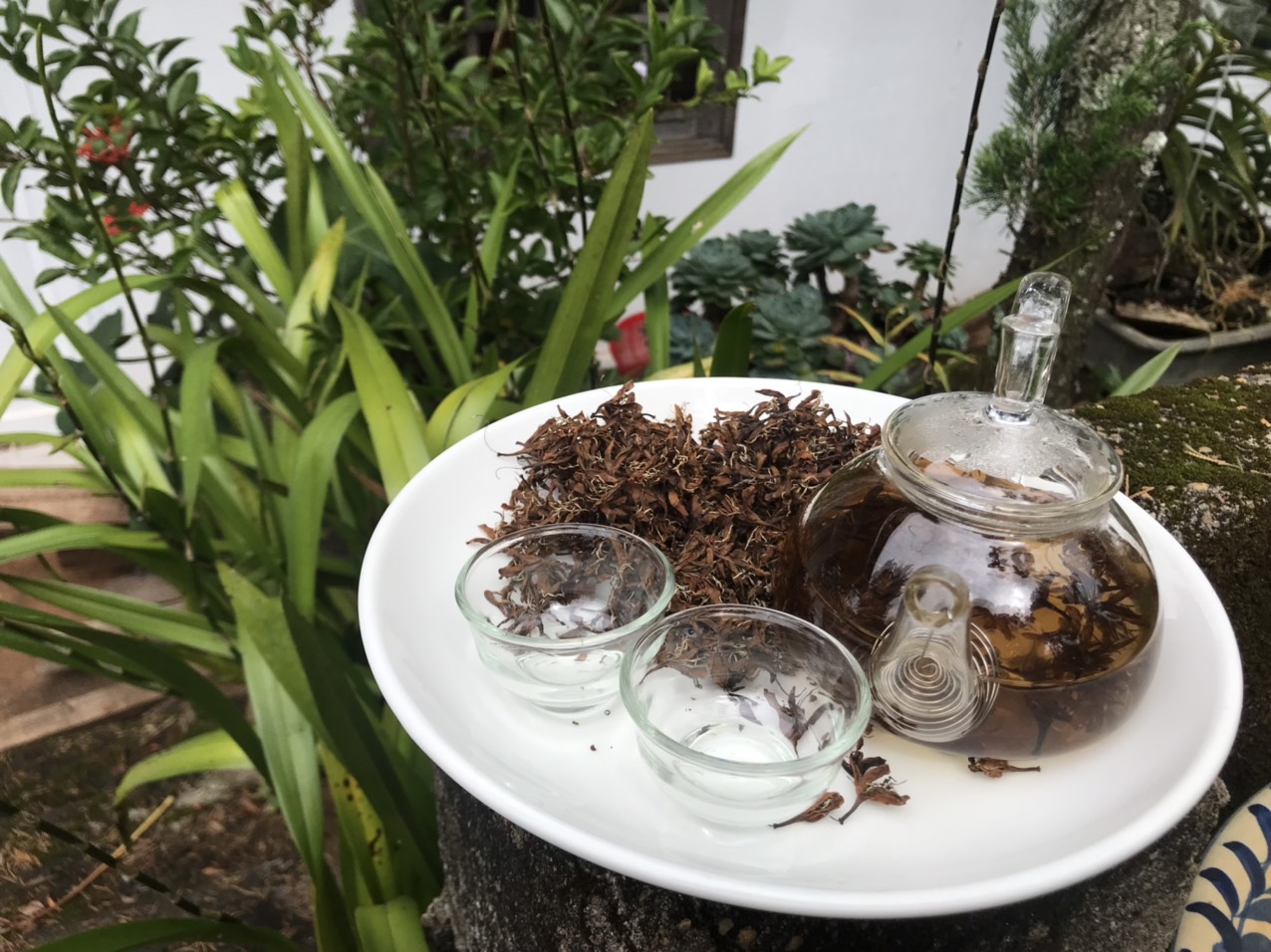 Trà hoa cafe Robusta - Coffee blossom tea organic gói 100g