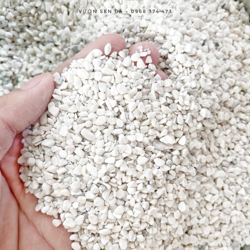 Sỏi trắng 2-3mm - vườn sen đá