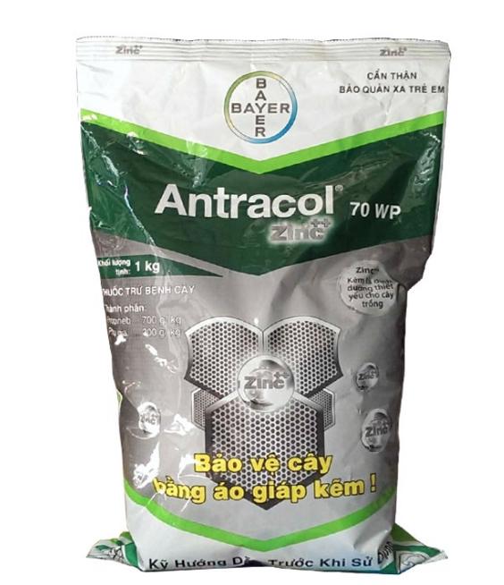 Thuốc trừ nấm bệnh ANTRACOL - gói 1kg