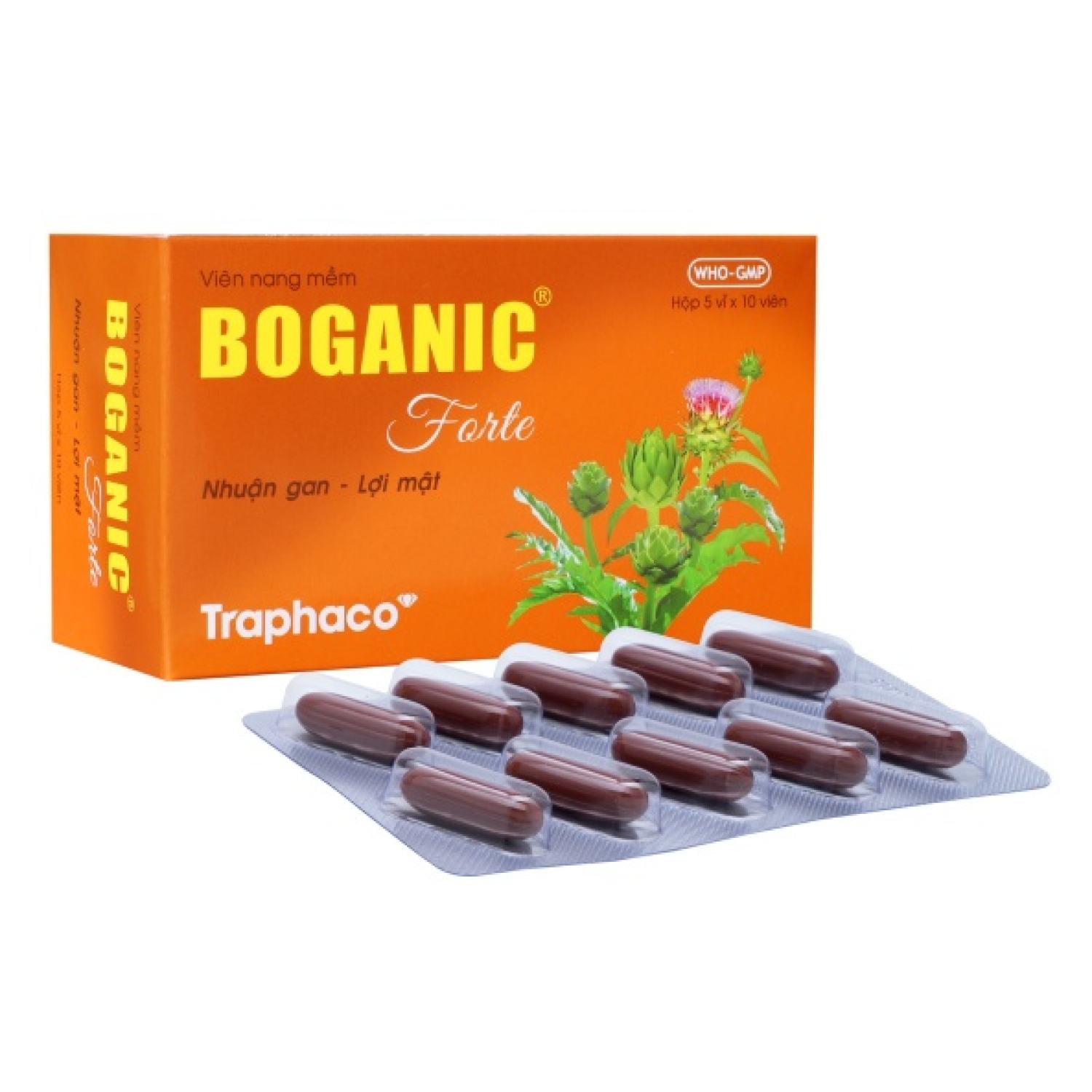 Boganic - giải độc, mát gan, giảm ngứa