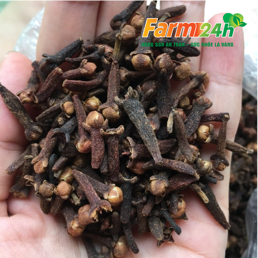 Nụ đinh hương khô Tây Bắc, gia vị cho các món ăn thơm ngon, 100% thiên nhiên | Farm24h