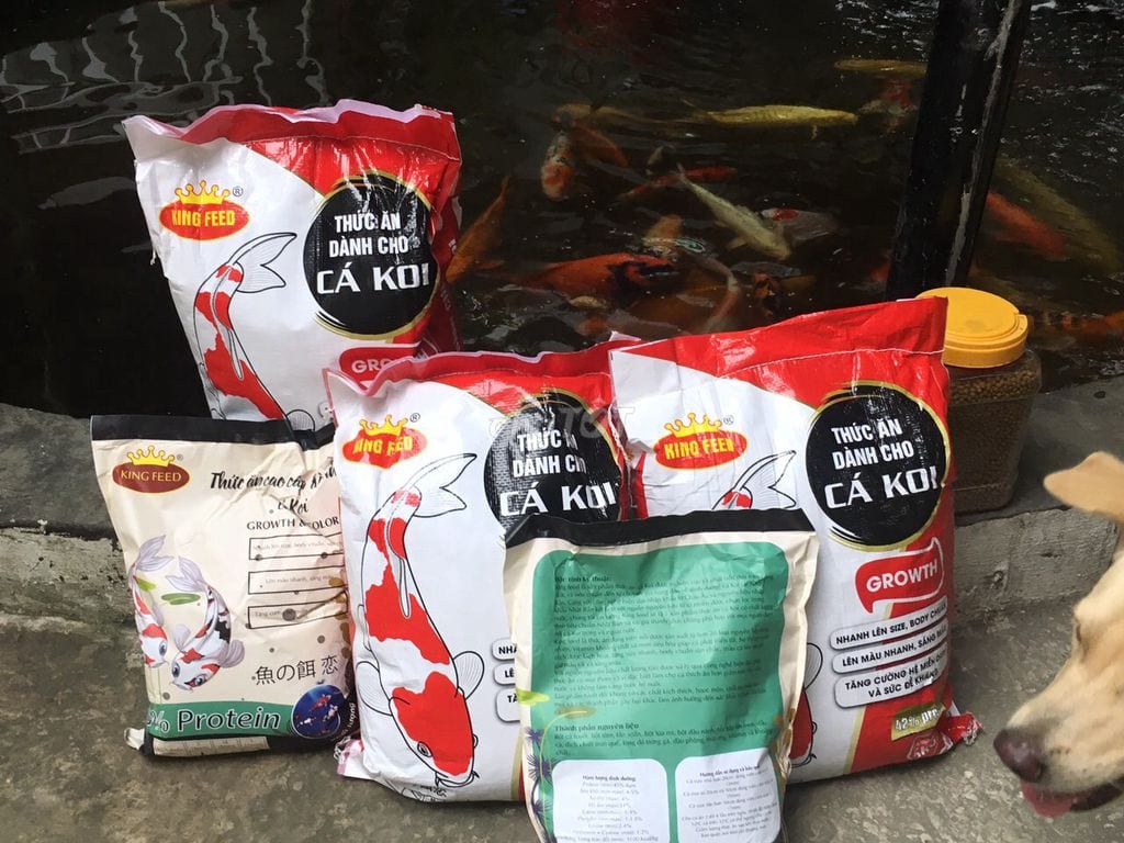5KG Cám cá Koi tăng trưởng King Feed