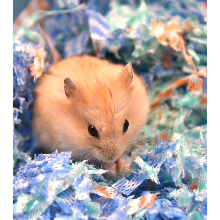 [Hoàn tiền 10%]Giấy Lót Happy Gói Chiết 50G - Dành Cho Hamster, Sóc, Nhím