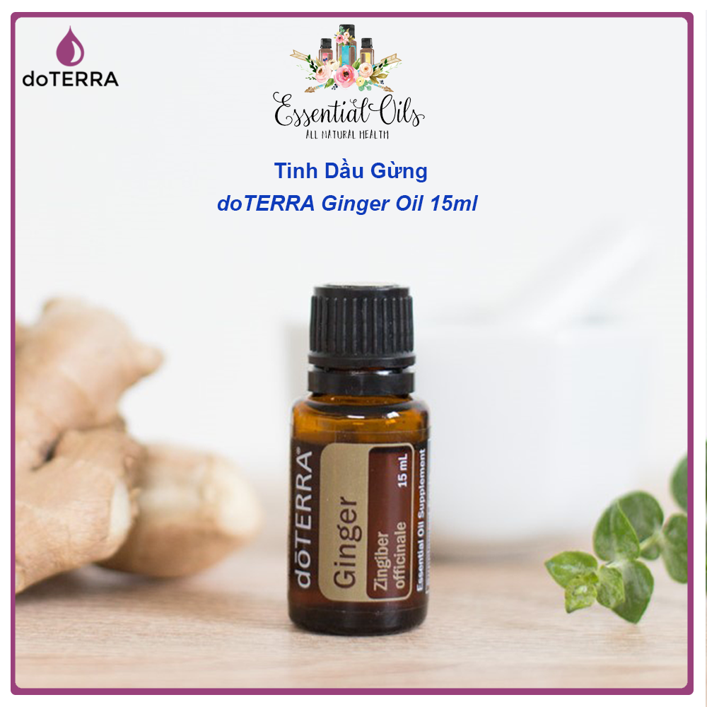 Tinh dầu gừng tinh dầu trị liệu nguyên chất doterra - doterra essential oil - ginger oil 15ml
