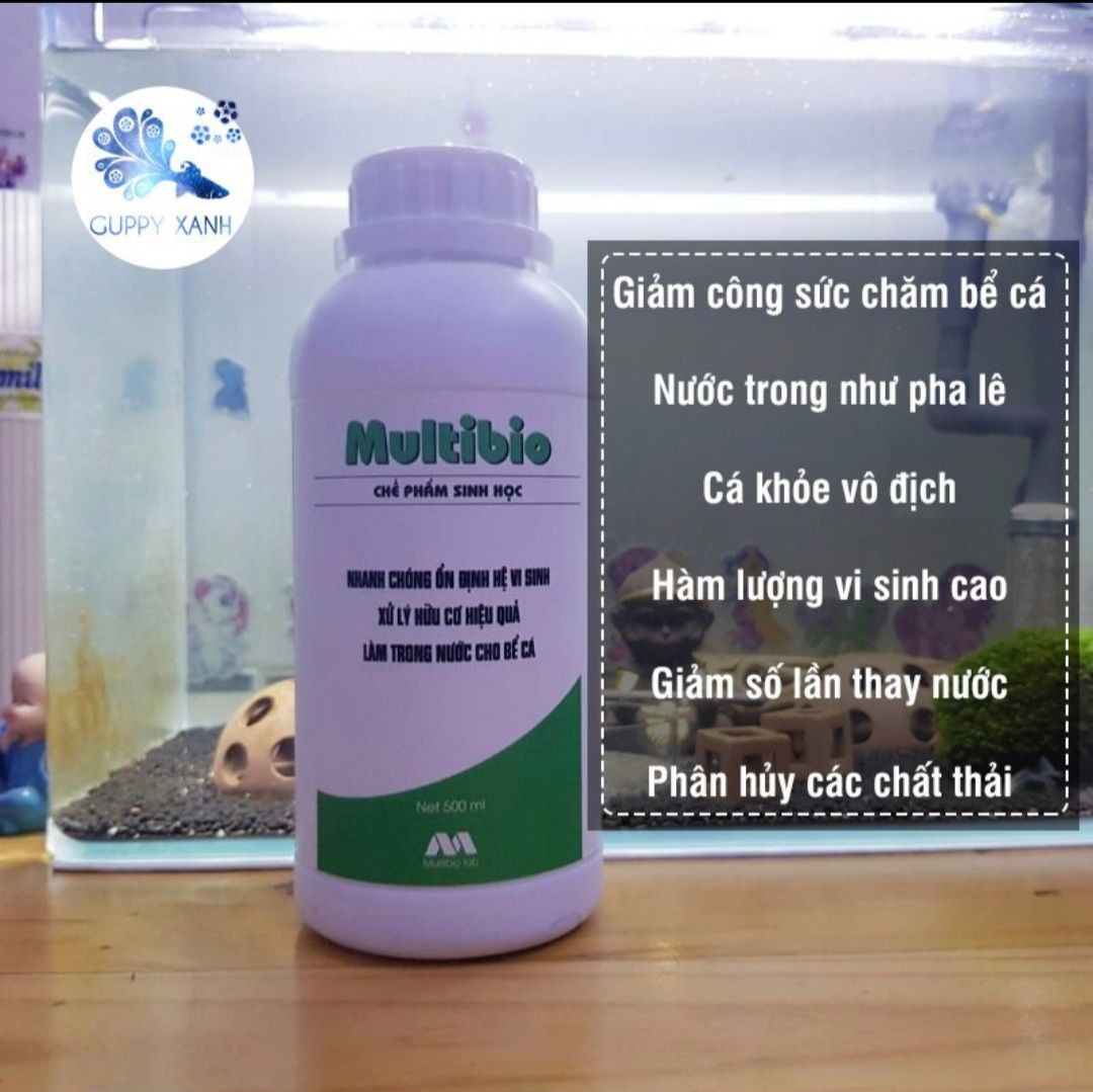 Vi sinh làm trong nước nhanh cho hồ thủy sinh và cá cảnh - multibio