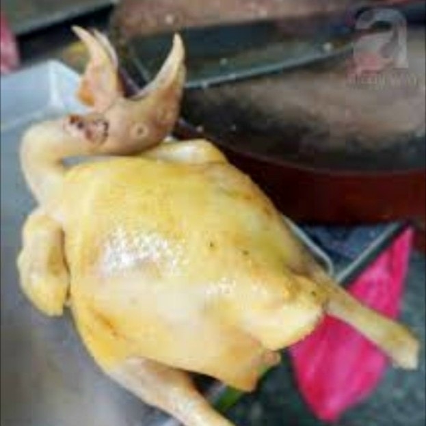 Gà ta thả vườn nguyên con hàng làm trực tiếp nhiều kích thước lựa chọn - giao trong ngày kv HCM - trợ ship