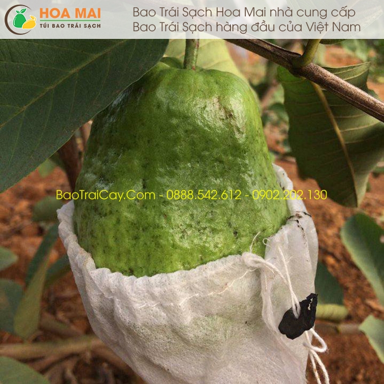 Bao trái cây Hoa Mai 16x18 100 cái - vải không dệt chuyên dụng túi dây rút nút, ngăn chặn hiệu quả côn trùng chít đốt làm hỏng quả