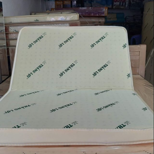 [HCM]Nệm Gấp 2 Size 1m x 2m x 20cm Cao Su Non Thắng Lợi Cao Cấp
