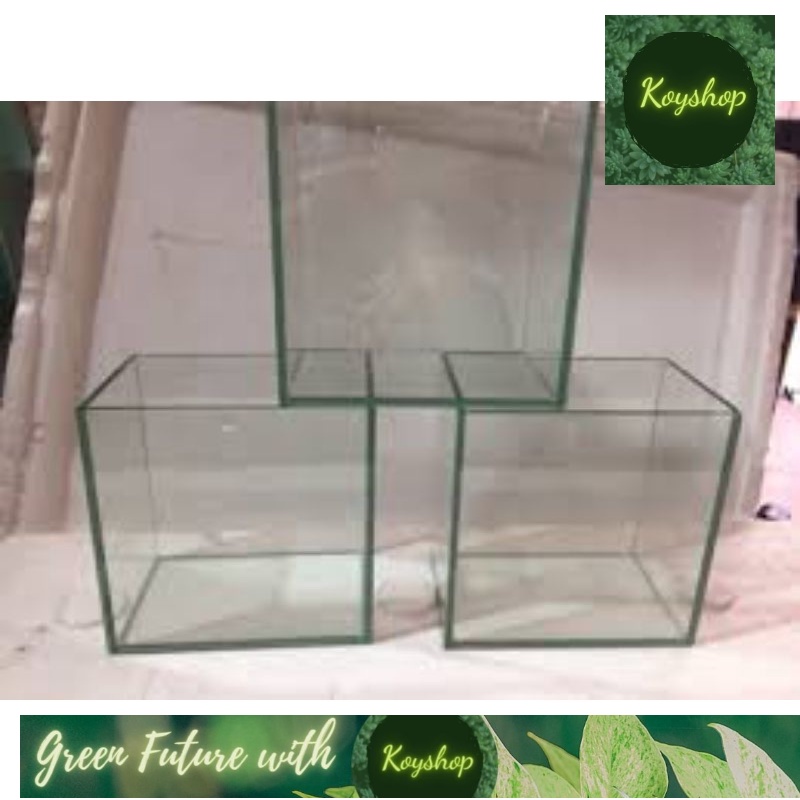Bể cá mini Hồ Cá Betta 15x10x15 dán giấu keo siêu đẹp