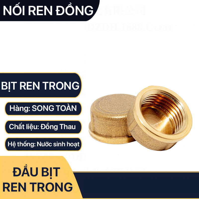 Đầu Bịt 21, Nút Bít Ren Trong Thau 21 27 Đồng Đúc Khuôn