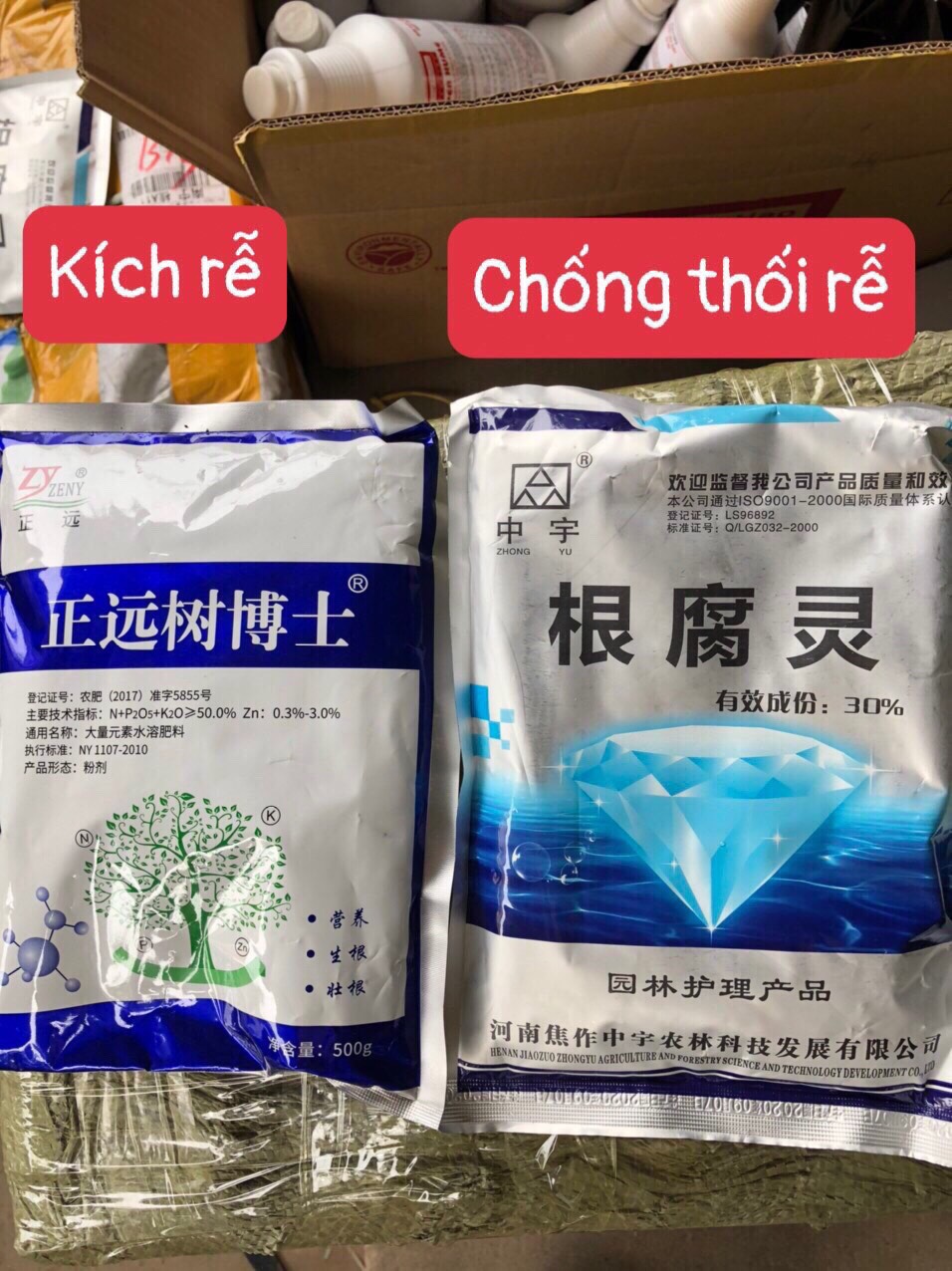 Combo thuốc kích ra rễ và chống thối rễ cho cây trồng