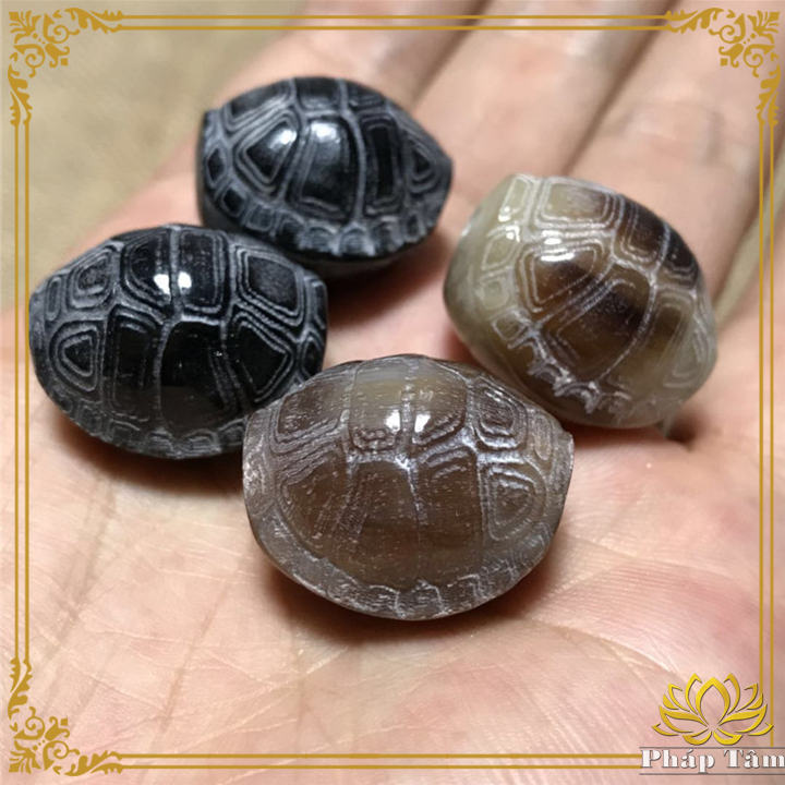Mặt Dây Chuyền, Phụ Kiện Thời Trang Sừng Bò Châu Phi Khắc Mai Rùa Phong Thủy Tặng Kèm Dây - Pháp Tâm
