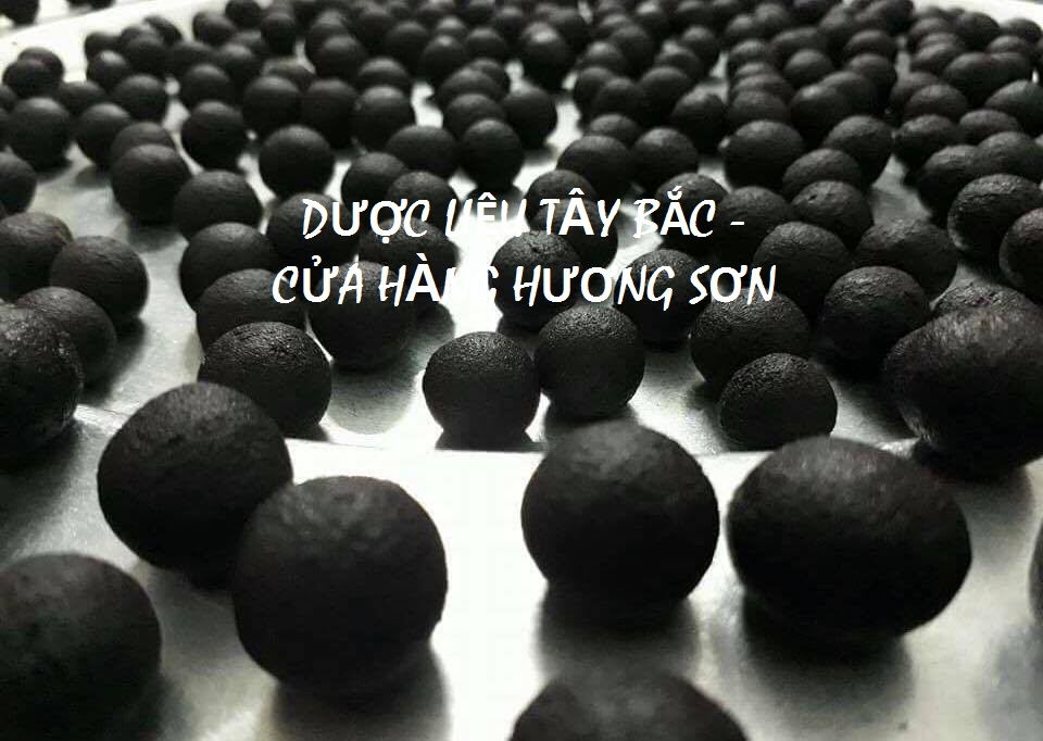 VIÊN HÀ THỦ Ô MẬT ONG RỪNG CHỐNG BẠC TÓC, RỤNG TÓC, THIẾU MÁU, MẤT NGỦ - DƯỢC LIỆU TÂY BẮC (500GR)