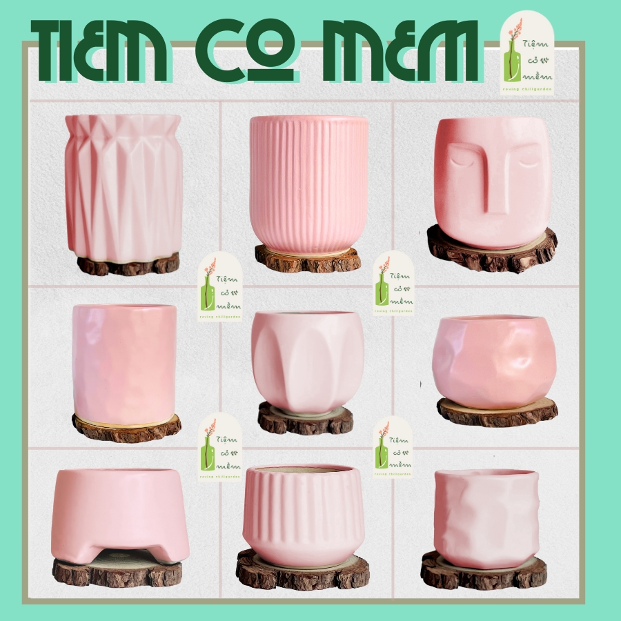 Chậu sứ hồng pastel trồng cây cảnh, chậu đất nung trồng sen đá, tiemcomem, tiệm cỏ mềm, gốm sứ bát tràng
