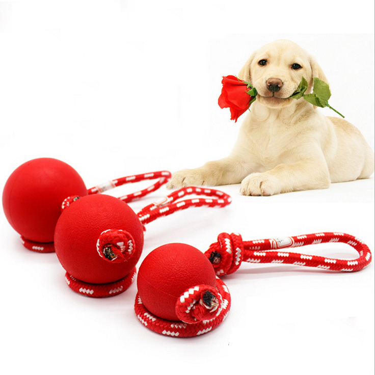 Đồ chơi bóng cao su gắn dây cho thú cưng - CutePets