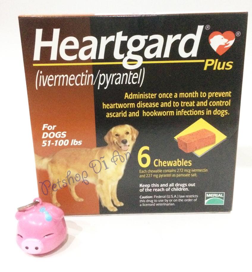 Hộp 06 viên nhai Heartgard Plus phòng & trị giun tim, giun đũa, giun móc cho chó 22.5 - 45kg