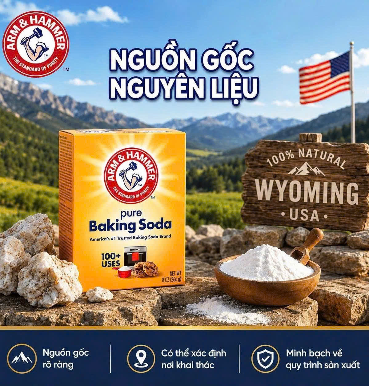 Arm & Hammer Pure Baking Soda Nhập Khẩu Mỹ – 266g/453g – Bột Đa Năng Làm Bánh, Khử Mùi, Làm Sạch