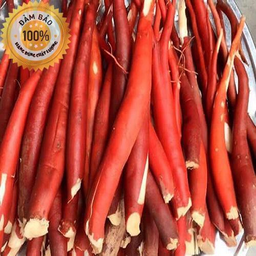 [HCM]Sâm cau đỏ tươi - 100% rừng tây bắc