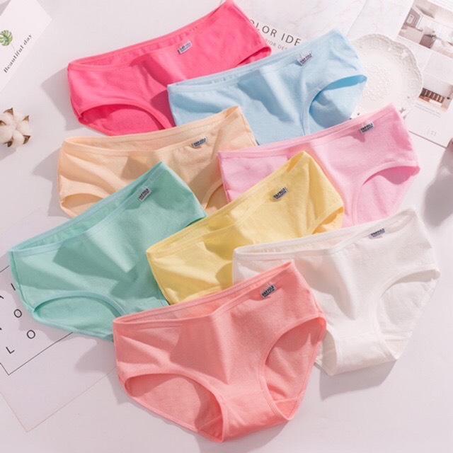 Quần lót nữ quần chíp nữ cotton trơn free size dưới 55kg