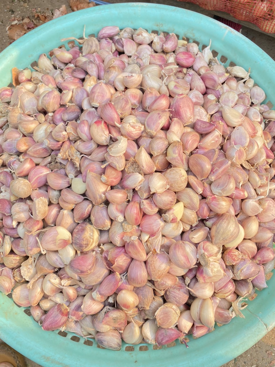 Tỏi tím đà lạt tép rời siêu ngon