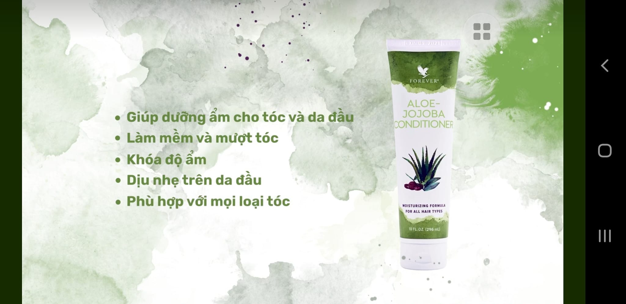 Dầu gội của lô hội 640 flp