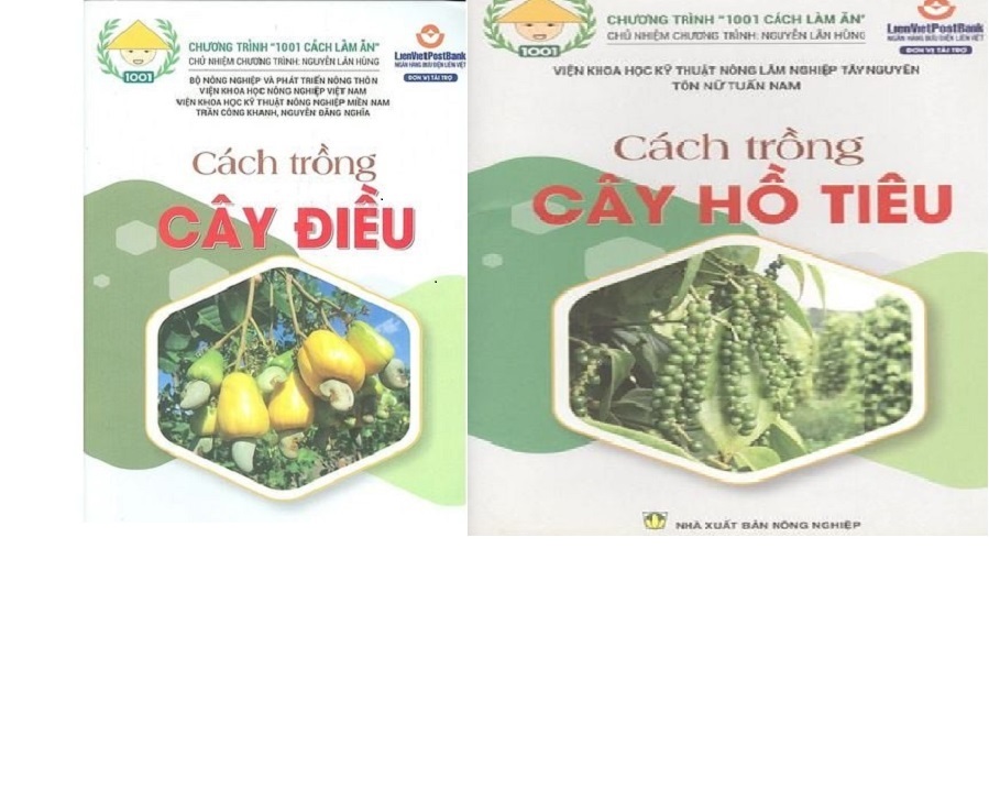 Sách - Combo cách Trồng Cây Hồ Tiêu - Cách Trồng cây Điều