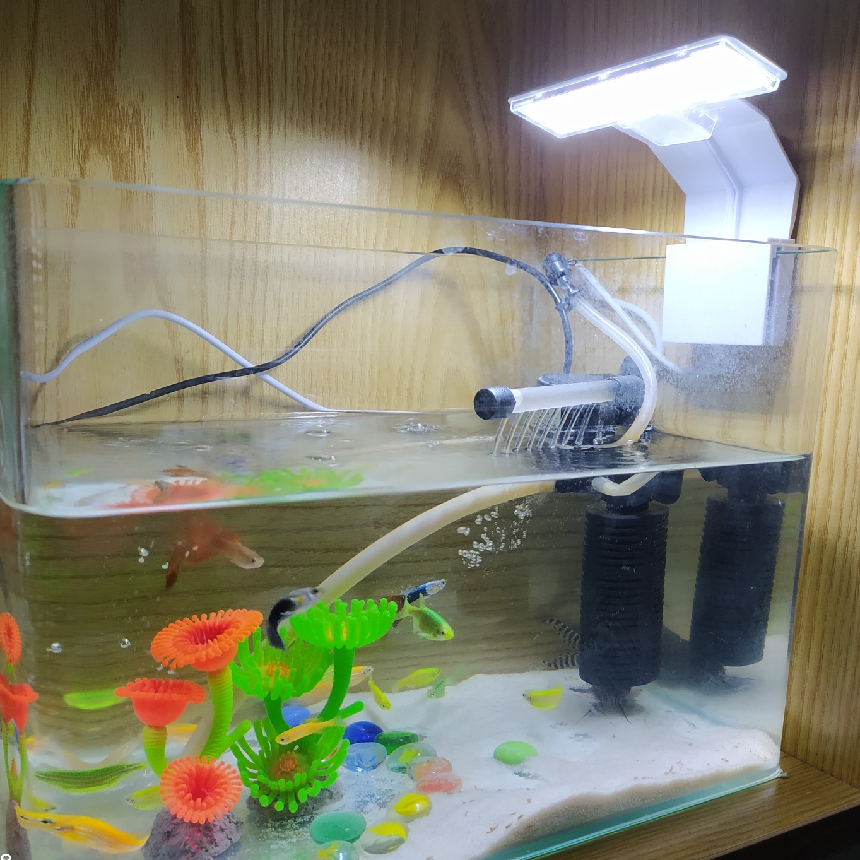 ĐÈN LED KẸP MINI X3 GeBo- trắng - ĐÈN THUỶ SINH CHO HỒ 20-30cm