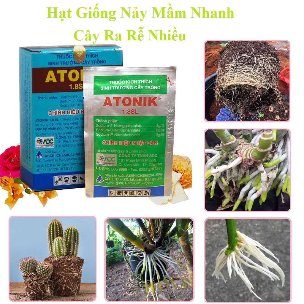 Thuốc kích thích nảy mầm Atonik