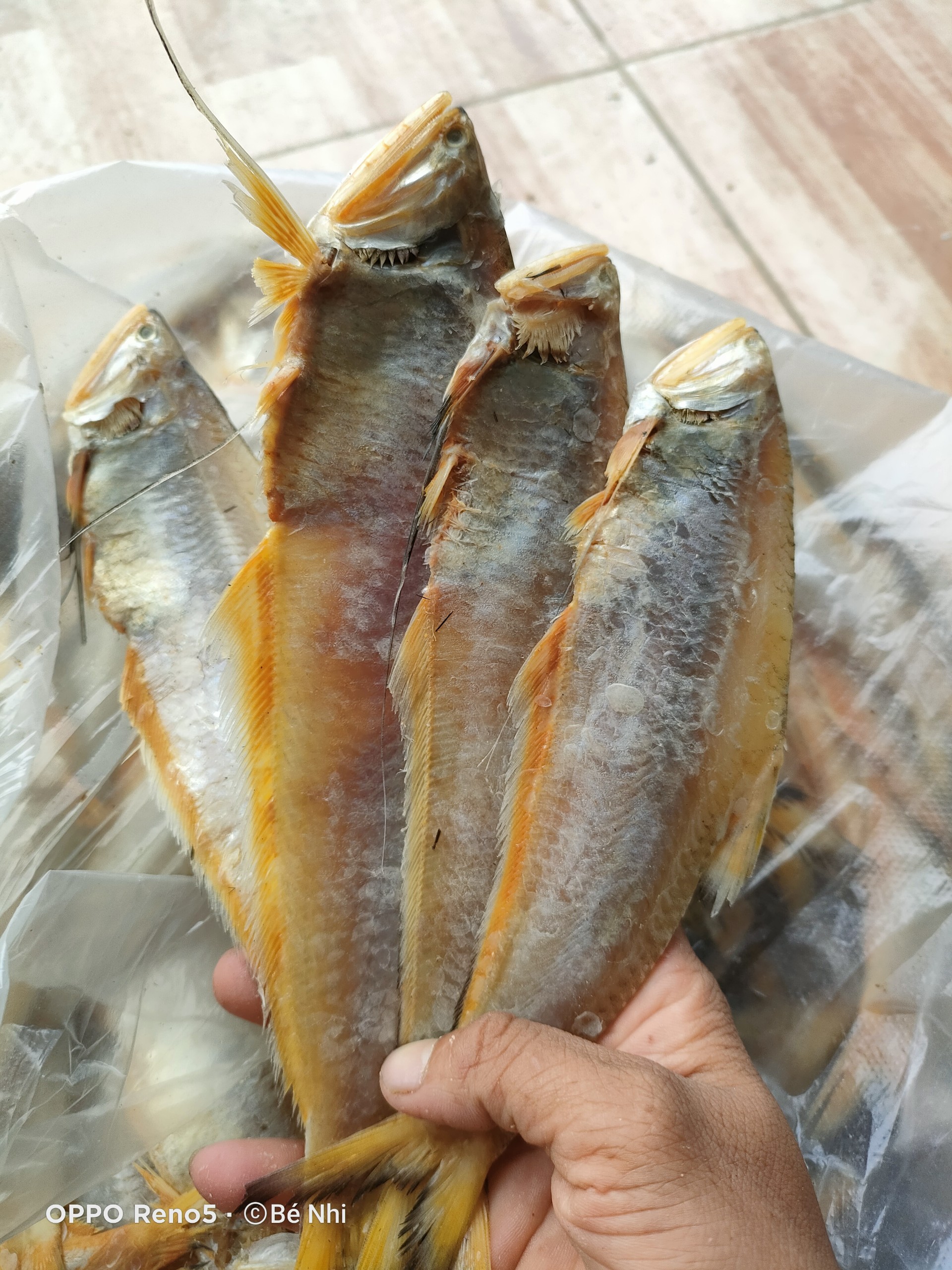 1 kg khô cá lẹp vàng đặc sản vàng cà mau -vựa khô tú sương hải sản khô chất lượng cao