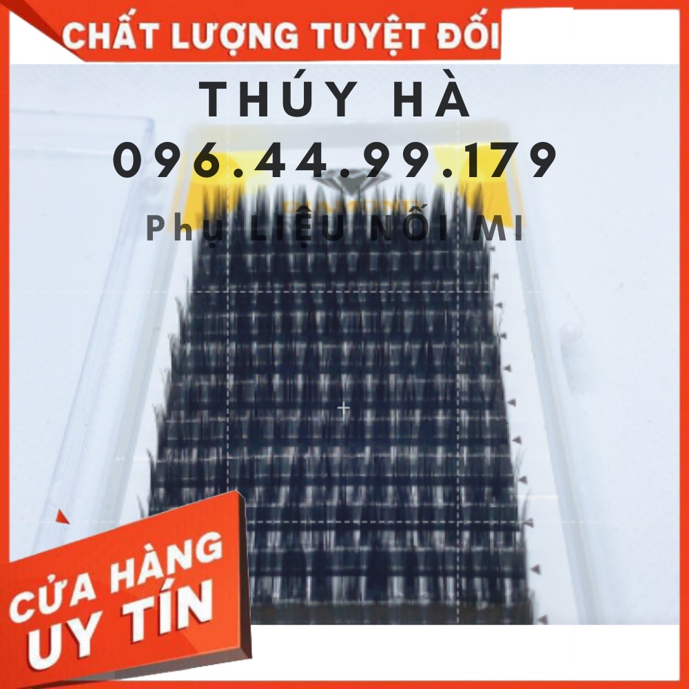 Mi hoa hồng đen, mi hoa sơn trà _keo nối mi_dụng cụ nối mi_THÚY HÀ