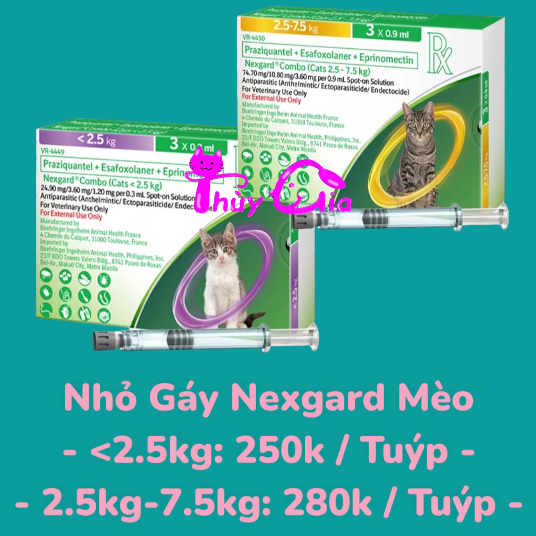 Nhỏ gáy Nexgard Combo cho mèo, sạch các loại ký sinh trùng cho mèo