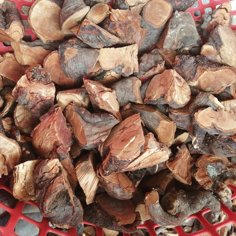 Rễ mú từn chuẩn 100% - db118