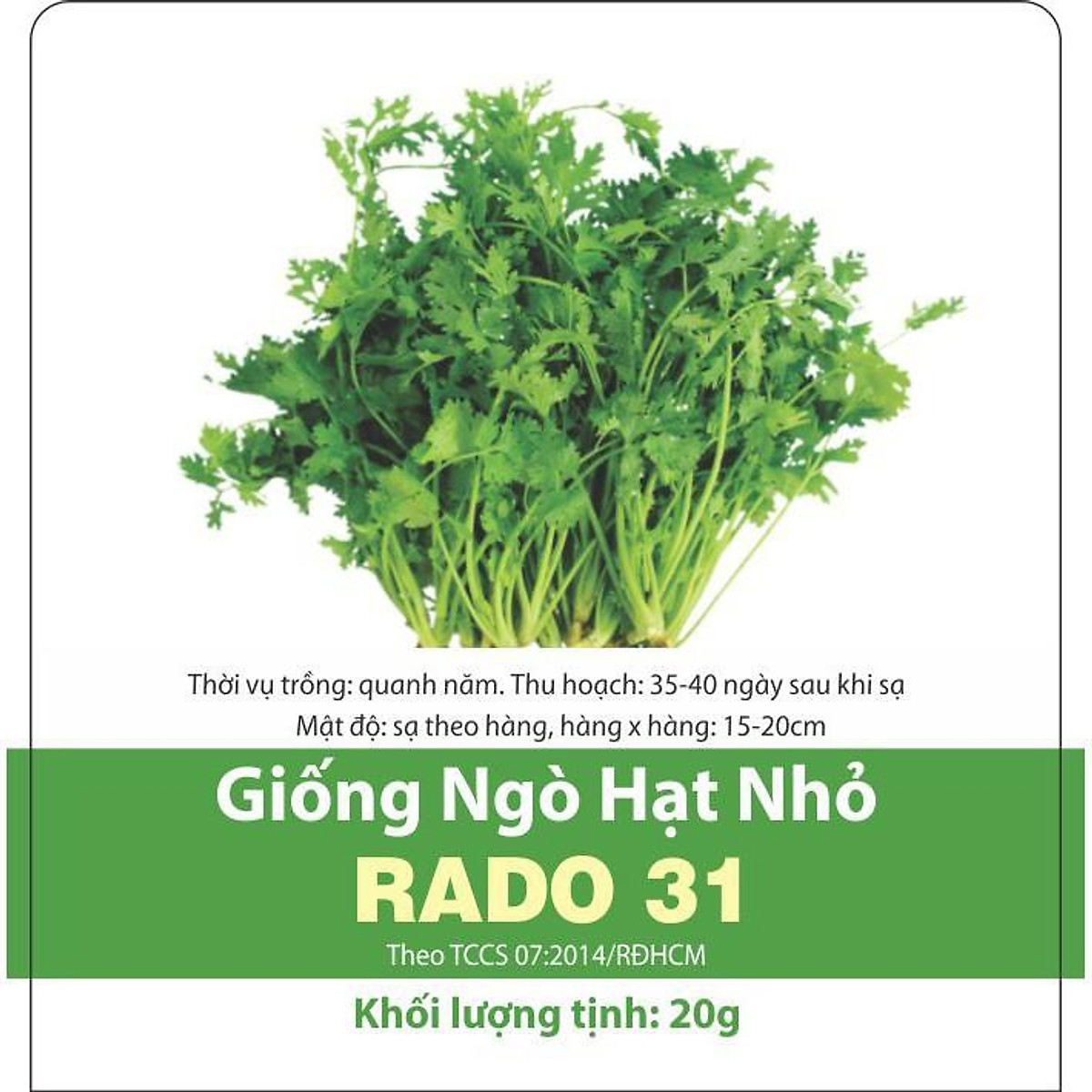Giống ngò hạt nhỏ - hạt giống rau thơm